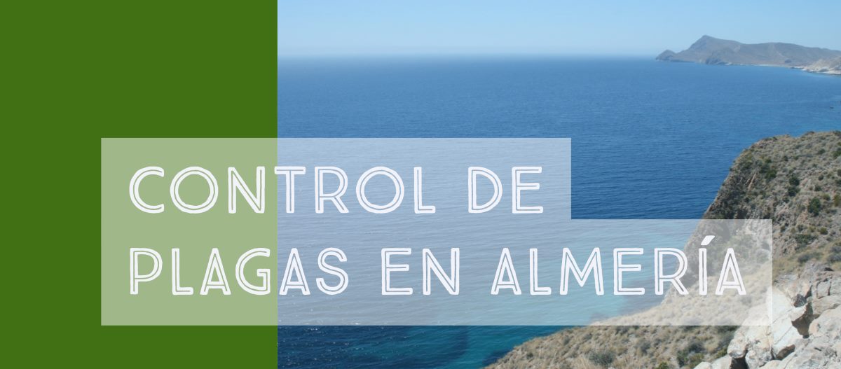 control de plagas en Almeria